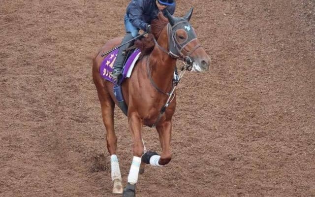 ダノンデサイルなど、先週の入厩情報/栗東トレセンニュース