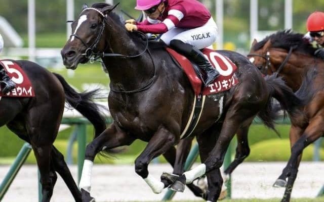 【菊花賞】「ウマ娘」の藤田晋オーナー エリキングでJRA・GI初制覇なるか