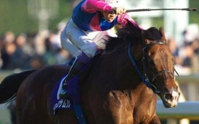 武豊騎手×メイショウでつかんだ秋の盾 メイショウサムソンの完勝劇