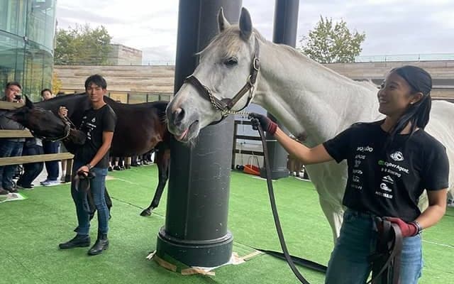 ヒルノダムールとダンカークが“二子玉”に！ Yogibo＆Yogiboヴェルサイユリゾートファームのイベントが開催