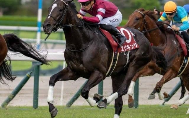 【菊花賞予想】クラシック三冠最終戦は前走着順に注目 AIは意外な実績上位馬を指名