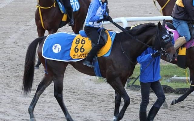 オーサムリザルト、JBCレディスC1週前追い切り速報/栗東トレセンニュース