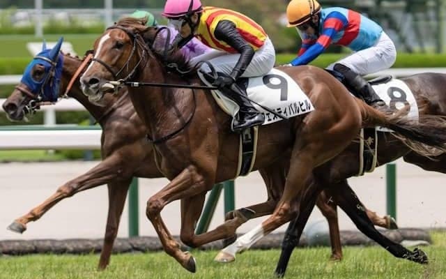 【ファンタジーS想定馬・騎手】フェスティバルヒル、ブラックチャリスなど16頭