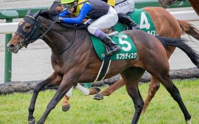 リスグラシューの弟2頭 土曜京都で同日Vなるか