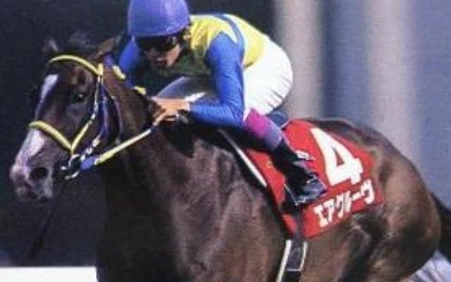 エアグルーヴ一族出身の良血 ウップヘリーアがC.ルメール騎手でデビュー勝ち狙う