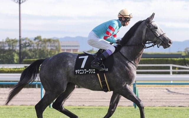 【競馬予想】混戦模様の菊花賞は「長距離戦は騎手で買え」の格言に従うべし　レジェンドたちの手腕が再び唸る