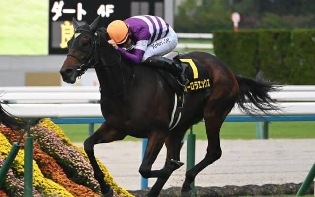 【カシオペアS結果】オーロラエックスが差し切りオープン初勝利