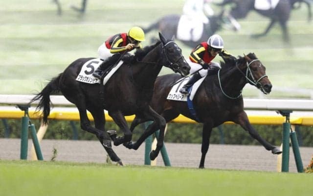 【新馬/東京5R】ウップヘリーア混戦を制する…サンデーサラブレッドのワンツー