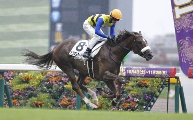 【東京2R】ヒズマスターピースが快勝…単勝1.1倍サンセリテは6着に敗れる