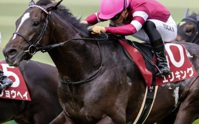 霜降り明星・粗品が菊花賞を予想 「世代トップクラスの実力」と評価するエリキングで勝負