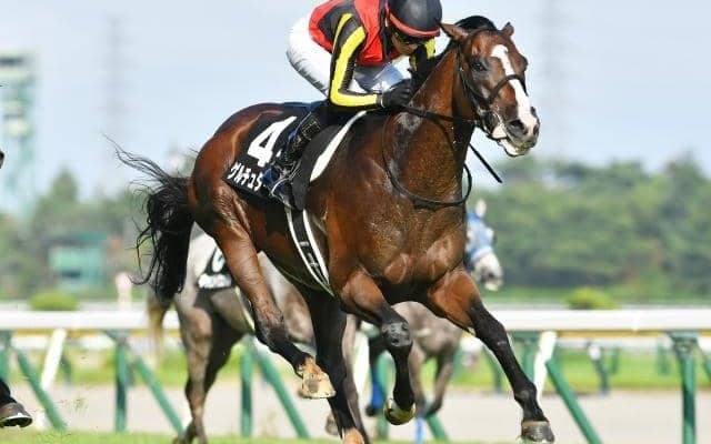 【今日の注目ポイント】3歳クラシック最後の一冠・菊花賞