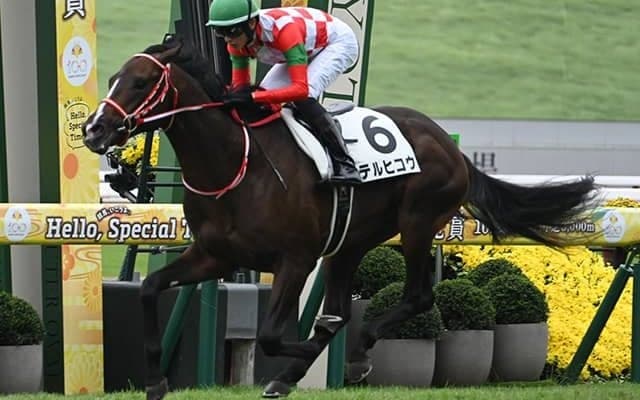 【京都5R新馬戦結果】コントレイル産駒テルヒコウが逃げ切り勝ち 5億9000万円馬エムズビギンは2着