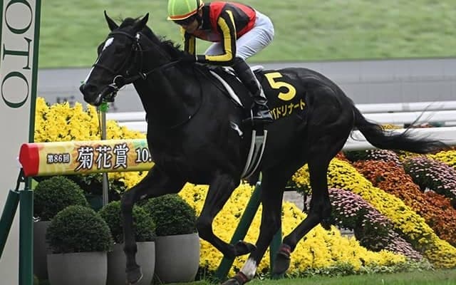 【萩S結果】バドリナートが抜け出し2連勝 坂井瑠星騎手はJRA年間100勝達成