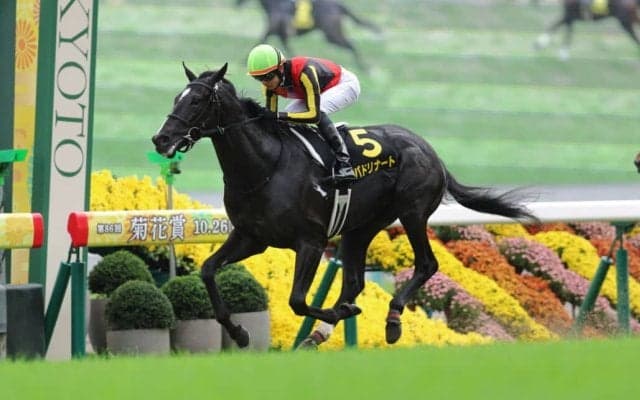 【萩S】コントレイル産駒 バドリナートが未勝利から連勝