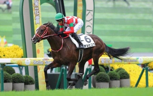 【新馬/京都5R】GLAYボーカルのTERU命名テルヒコウが逃げ切る