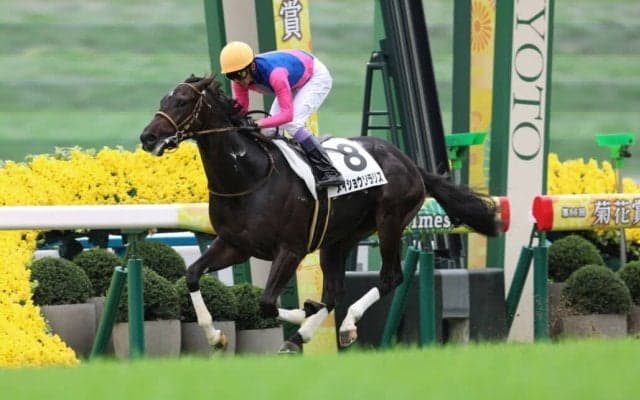 【京都3R】武豊メイショウソラリスが逃げ切る