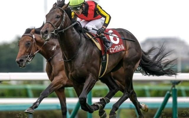 中距離王者決定戦・天皇賞(秋)とファンタジーS 米国ではブリーダーズC/今週の競馬界の見どころ