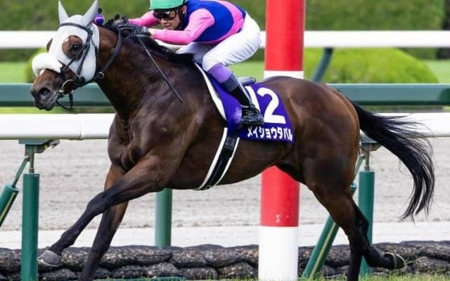 34年ぶりの天皇賞(秋)逃げ切り勝ちとなるか メイショウタバルと武豊騎手に注目だ