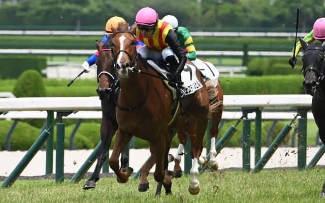 【ファンタジーS見どころ】鋭い末脚を持つフェスティバルヒルを狙う