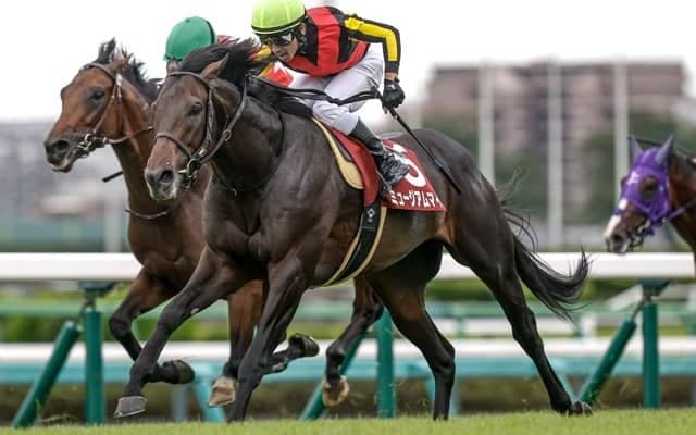 【天皇賞(秋)見どころ】休み明けを完勝したミュージアムマイルに期待