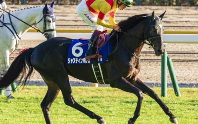 イクイノックス・ドウデュース世代4連勝へ グレード制導入後初の6歳Vとなるか