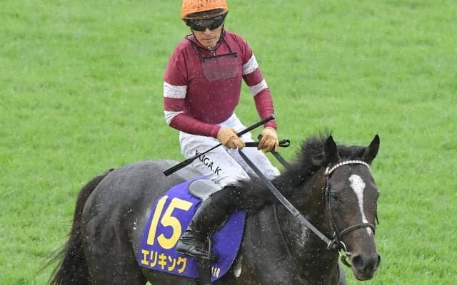 【菊花賞】ジョッキーカメラが捉えた川田将雅の2週連続“ハラハラ”ゲート内　「あー！」で発馬の災難にファン既視感