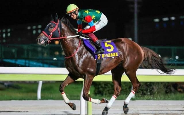 【浦和・埼玉新聞栄冠賞枠順】5連勝中のマウンテンローレルは8枠10番、ジェンティルドンナの半弟スレイマンは1枠1番
