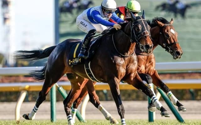 【AI予想・天皇賞(秋)】今年の3歳馬は人気先行の恐れあり!? 経験豊富な古馬3頭に期待を寄せる人工知能