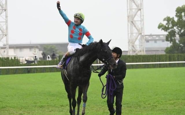 エネルジコの血統背景を解説 父は5世代で3頭の菊花賞馬を出したドゥラメンテ 