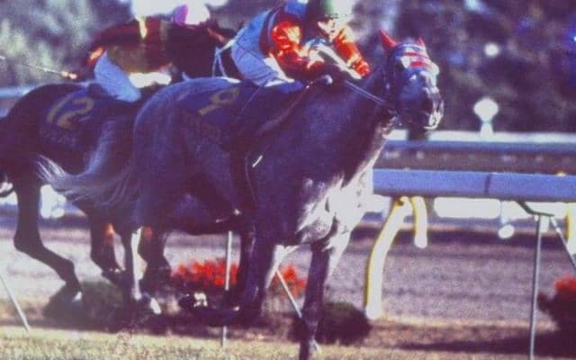 タマモクロス対オグリキャップの芦毛対決 史上初の天皇賞春秋制覇が生まれた88年