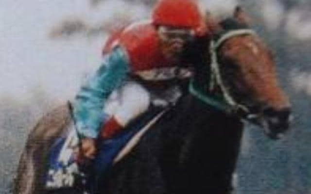 1位は5馬身差の圧巻逃げ切りV 天皇賞(秋)着差ランキングTOP5