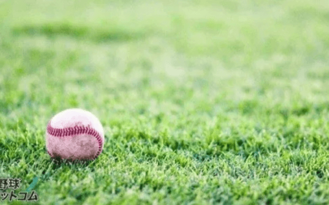 虎姫が彦根東を下してベスト8入り！滋賀1年生大会【25年秋高校野球】