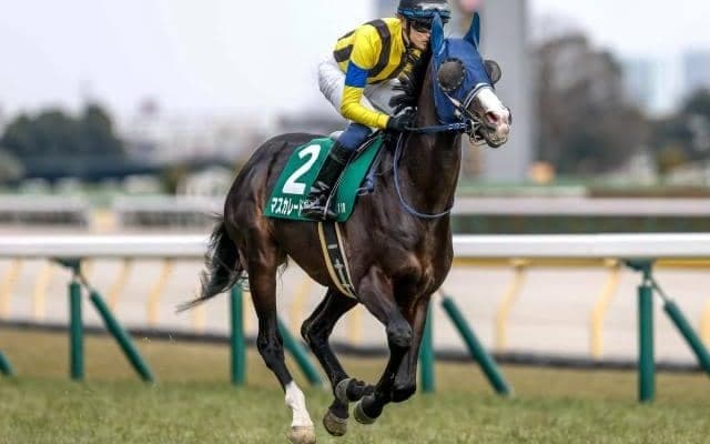 【天皇賞(秋)予想オッズ】マスカレードボールが予想1番人気