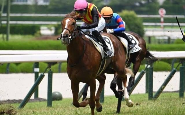 【ファンタジーS予想オッズ】フェスティバルヒルが予想1番人気