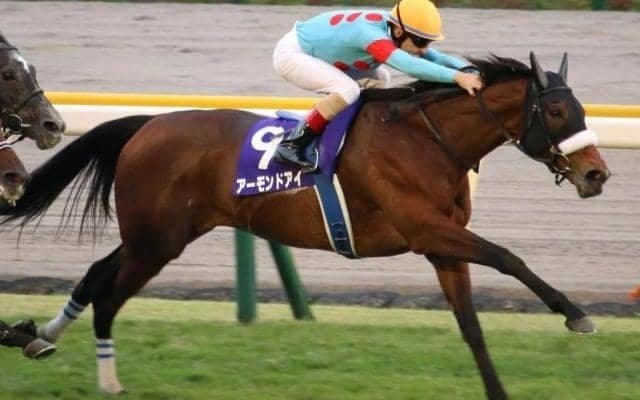 シンボリルドルフの壁を越えた芝GI・8勝目 アーモンドアイの偉業達成から5年