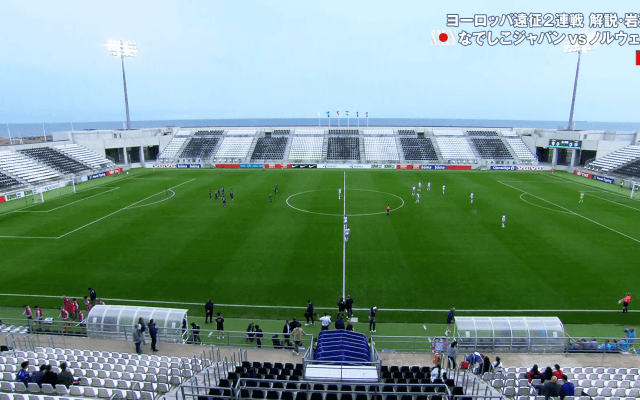 「なんだなんだ？」謎の“野太い声”が観客38人の会場に響く…なでしこジャパン国際試合でファン騒然「オットセイいる」「声どっから出てる笑」