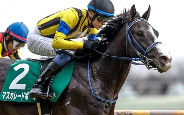 【天皇賞(秋)枠順確定】マスカレードボールは5枠7番、ミュージアムマイルは6枠9番