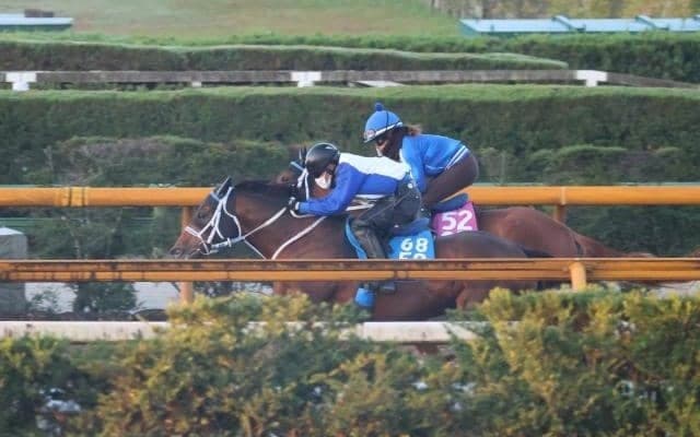 ジュウリョクピエロなど、JBC最終追い切り速報/栗東トレセンニュース