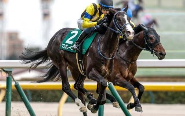 【天皇賞(秋)・調教後馬体重】マスカレードボールは470kg、ミュージアムマイルは510kg