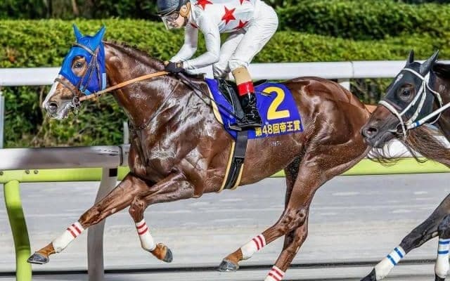 【JBCクラシック】C.ルメール騎手が初制覇なるか 帝王賞覇者のミッキーファイトで参戦