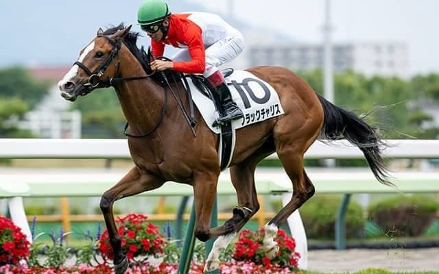 【ファンタジーS枠順確定】ブラックチャリスは5枠5番、フェスティバルヒルは2枠2番