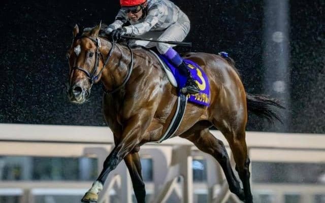 【JBCレディスクラシック】武豊騎手が6年ぶり2勝目なるか オーサムリザルトで参戦