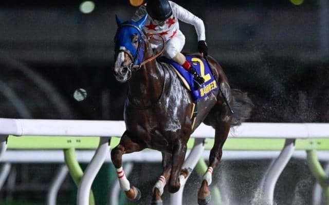 【船橋・JBCクラシック枠順】帝王賞覇者ミッキーファイトは8枠13番、南部杯を制したウィルソンテソーロは6枠9番