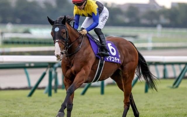 【船橋・JBCスプリント枠順】GI馬ママコチャは8枠13番、600kg超えの大型馬ドンフランキーは4枠5番