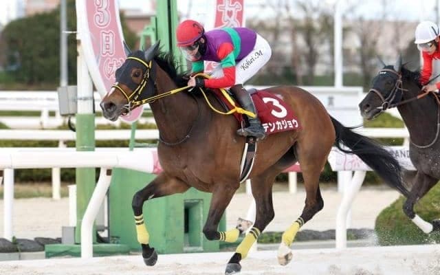 【船橋・JBCレディスC枠順】JpnI初制覇狙うテンカジョウは2枠2番、地元の期待馬プラウドフレールは4枠6番