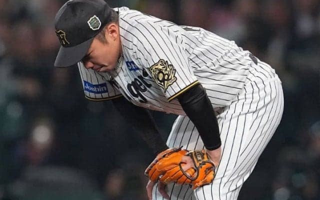 なぜ阪神はインサイドを使わなかった？高木豊氏「責められないと思う。打った方が上手い」　2被弾を分析【日本シリーズ】