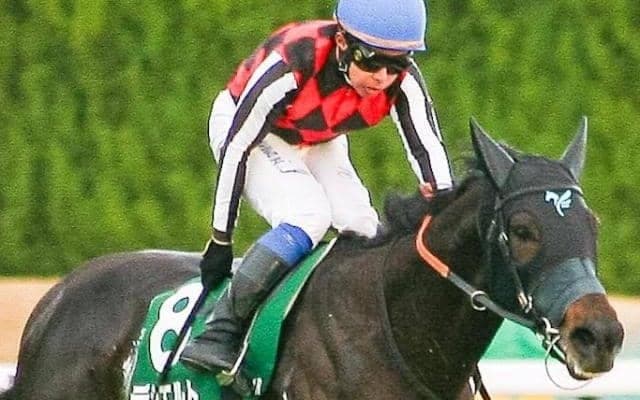 全兄は中日新聞杯覇者のデシエルト 名牝系出身のアクアアイがデビューVなるか