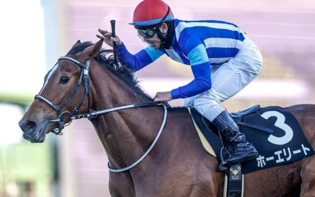 【AR共和国杯想定馬・騎手】ホーエリート、スティンガーグラスなど19頭