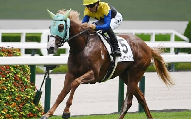【京王杯2歳S想定馬・騎手】ダイヤモンドノット、ユウファラオなど15頭