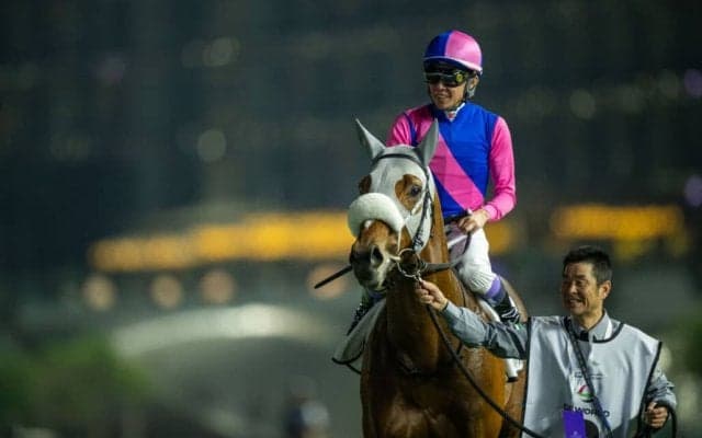 【天皇賞・秋】武豊メイショウタバルは8枠13番